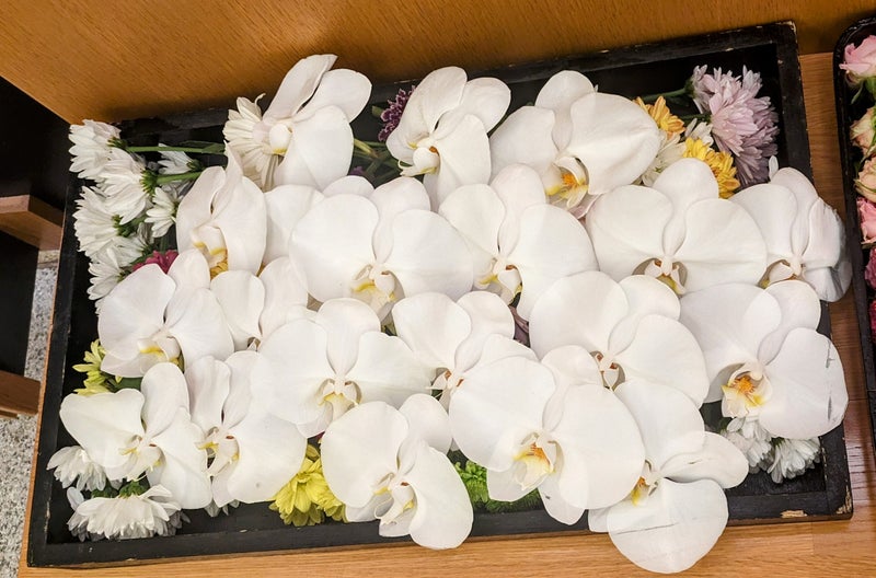 胡蝶蘭のお別れ花【埼玉県川越市葬儀セレモニーサロン】