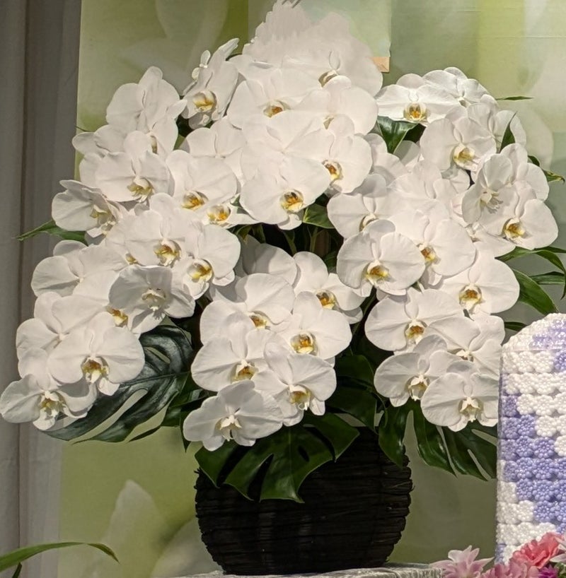 胡蝶蘭の供花とピンクの生花アレンジ②【埼玉県川越市葬儀セレモニーサロン】
