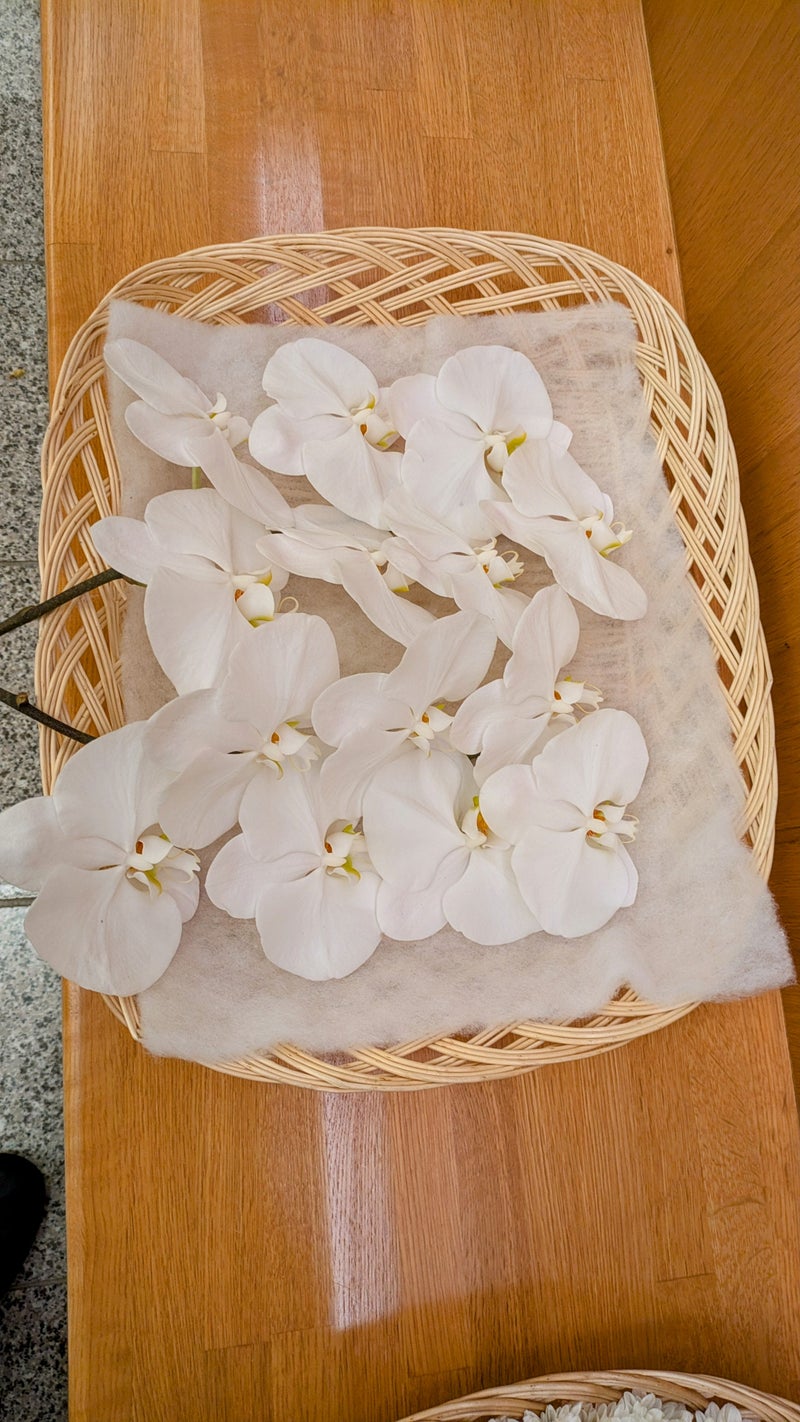 胡蝶蘭のお別れ花【埼玉県川越市葬儀セレモニーサロン】
